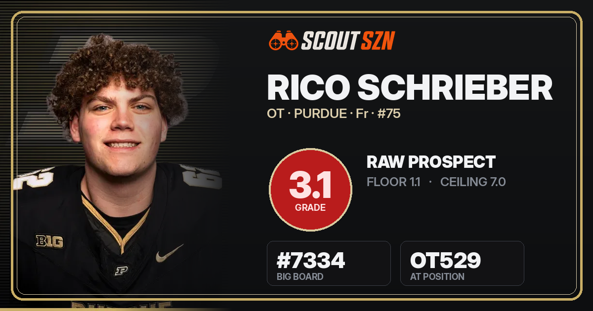 Share card for Rico Schrieber