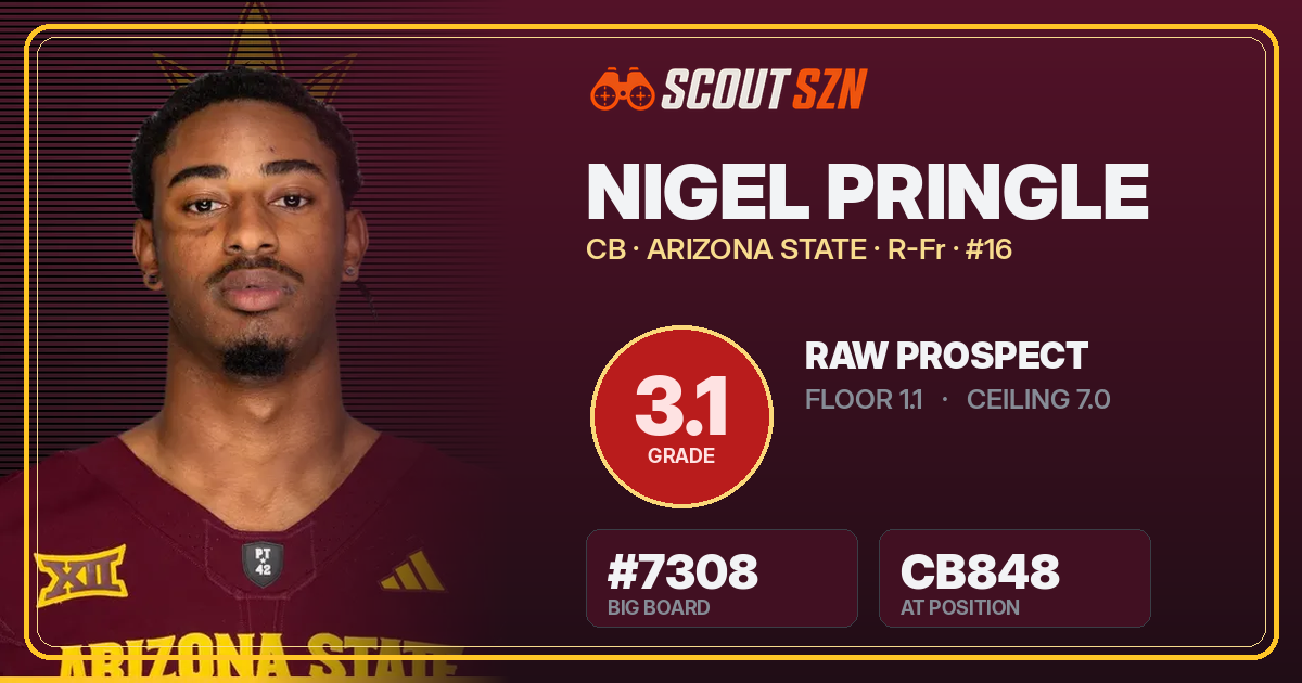 Share card for Nigel Pringle