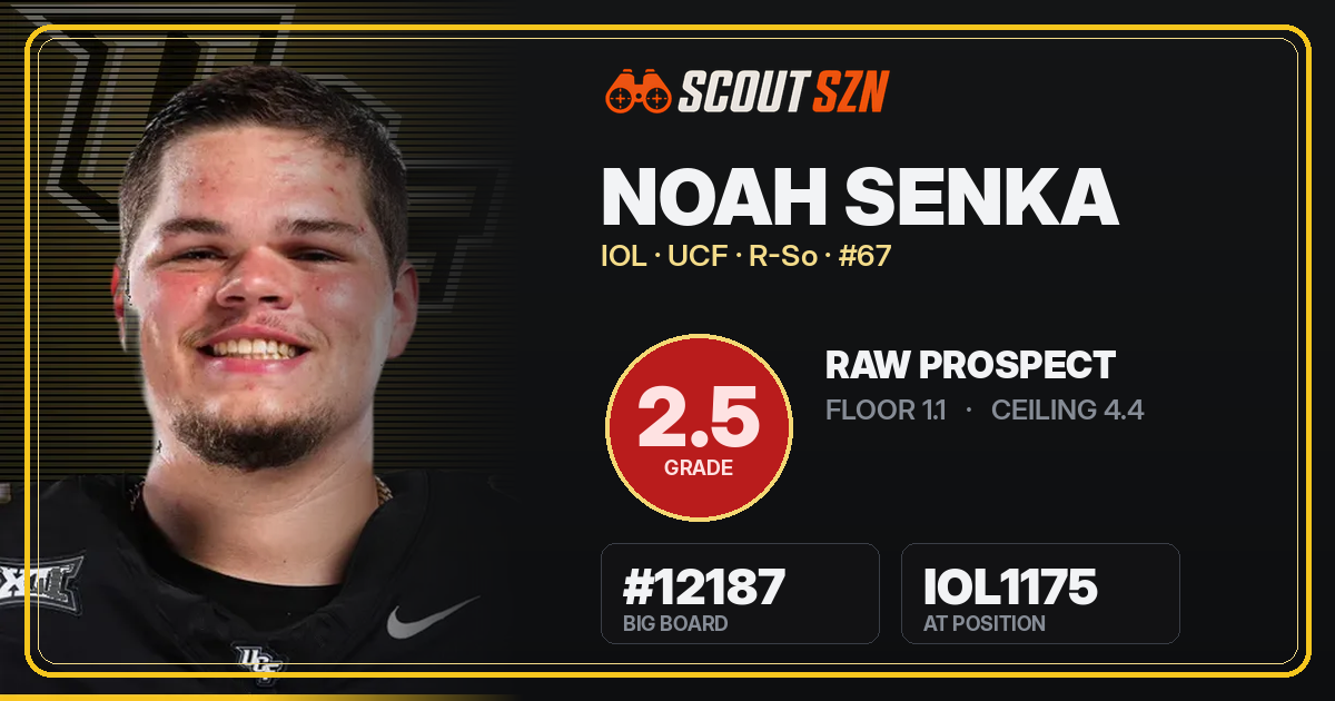 Share card for Noah Senka