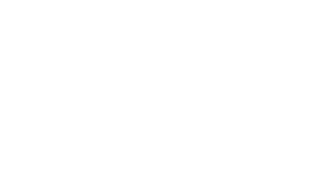 Balance Sports Management logo