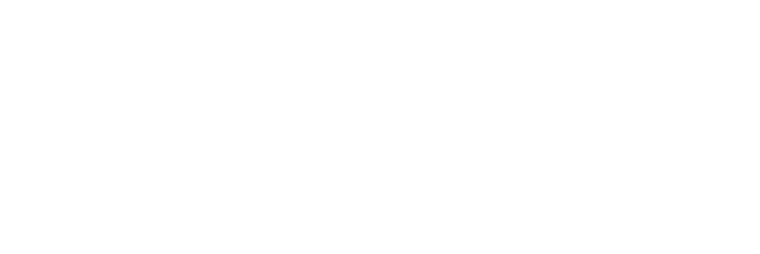 Perseus Sports Group logo